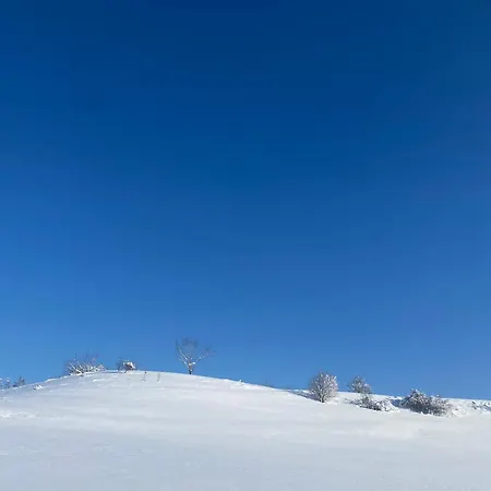 Am Weberhof Nur 20 Autominuten Von Muenchen 埃贝斯堡